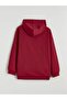 Lcw Kidsred Printed Boys' Sweatshirt - 4