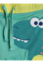 Printed Baby Boy Swim Shorts with Uv Protection Elastic Waist - 3