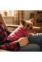 Pink Sweater with Rabbit Motif for Cat and Dog - 7