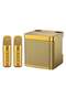 YS-203 Professional Portable Bluetooth Karaoke Speaker with Dual Wireless Microphones