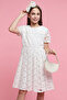 Lace Fit & Flare Dress with Crew Neck and Short Sleeves - 4
