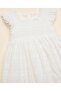 Schiffli A-Line Dress with Square Neck with Ruffle Sleeves - 3