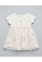 Embroidered Tulle Dress with Crew Neck and Short Sleeves