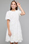 Lace Fit & Flare Dress with Crew Neck and Puff Sleeves - 2