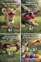 Bite-Resistant Rope Dog Toy |   Teether Rubber Ball and Sturdy Knot Rope Pet Play Toy - 5