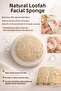 Pumpkin Fiber Elastic Facial Peeling Disc - 3