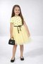 Polka Dot Girl's Short Sleeve Tulle Dress for Birthday and Special Occasions