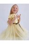 Linda Short Sleeve Girls Princess Fluffy Tutu Yellow Polka Dot Stretchy Lycra Tulle Tutu Dress - 8