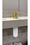 Mat Gold Built-In Soap Dispenser Mat Gold Detergent Dispenser Liquid Soap Dispenser - 2