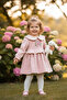 Seasonal Velvet Rose Embroidered Baby Collar Dress - 3