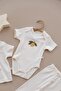 Limon Series Set of 3 - 6