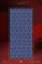 Women's Tyana Muslin Shawl - 2