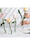Clear Cylinder Glass Vase for Flowers, Floating or Pillar Candles, Home & Wedding Decor, 6pc-5x25cm - 3