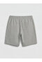 Ozmarka New Season Standard Fit Striped Men's Shorts - 6