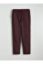 Brown Elastic Waist Textured Carrot Cut Women's Trousers (S6) - 5