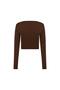 Brown Crew Neck Long Sleeve Crop Bodysuit - 4