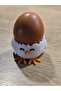 Egg Holder-Egg Tray-Service