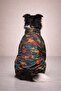 Parade Polar Medium-Large Breed Dog Raincoat Overalls - 2