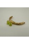 Akide Wallet Clip Gold - 2