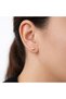 Steel earrings - 2