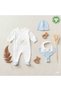 Wild Nest Organic Hospital Discharge Set