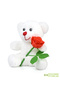 Valentine's Day Gift Boxed Plush Teddy Bear Holding 3D Rose Special Set for Lovers - 3