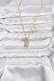 316L Steel Chain Gold Color Teddy Bear Model Zircon Stone Women's Necklace - 2