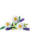 Botanicals 11508 - 8