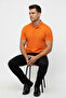 Short-Sleeved Polo Collar Tshirt - 2