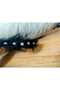 Black Feather and Beaded Crown -Bridesmaid Wedding Engagement Hair Accessory - 5