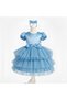 Girl's Blue Bow Fluffy Tutu Dress, Evening Dress, Party Dress