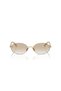 &Co 0Tf3104D 6178/11 Women's Sunglasses