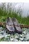 Women's Patterned Colorful Lightweight Non-Slip Sole Plastic Garden Shoes
