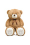 Love-Filled Gift Set – 120 cm Giant Plush Bear, 25 cm Plush Teddy Bear and Plush Bouquet - 3