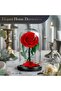 Preserved Flowers Roses in Glass Dome - 4