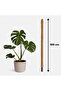 Moss Stick 100CM - 3