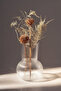 Padrag 17 cm Translucent Glass Vase Modern Transparent Glass Vase Decorative Flower Vase - 3
