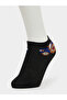 Pack of 5 - Kids Graphic Print Ankle Socks - 8