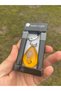 Real Scorpion Fossil Keychain |   Inside Transparent Resin |   Collectible Item - 3