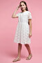 Lace Fit & Flare Dress with Crew Neck and Short Sleeves - 3