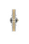 Skeleton Case Women's Wristwatch Cw280S 02Tg - 2