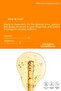 Anti-Blemish Brightening Vitamin C Serum Glutathione, Ferulic Acid, 20% Ascorbic Acid 30 ml - 5