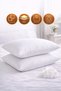 Cloud 2-Pack Silicone Pillow 800 Gr