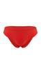 Nar Çiçeği Normal Bel Brazilian Basic Bikini Altı TBESS26BA00006 - 3