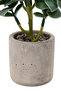 Artificial Cactus Succulent in a Gray Colored Pot - 5