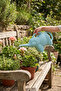 Elephant Flower Watering Pot 2200 Ml Flower Pot Watering Container Plant Watering Bottle - 2
