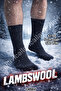 Men's Winter Wool Lambswool Thermal Socks 5 Pairs