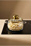 Roy Gold 1200 ml Borosilicate Glass Pot