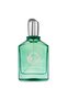 Viridia , Eau de Parfum , Unisex, 100 ml - 2