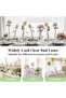 Clear Cylinder Glass Vase for Flowers, Floating or Pillar Candles, Home & Wedding Decor, 3pc-5x30cm - 7